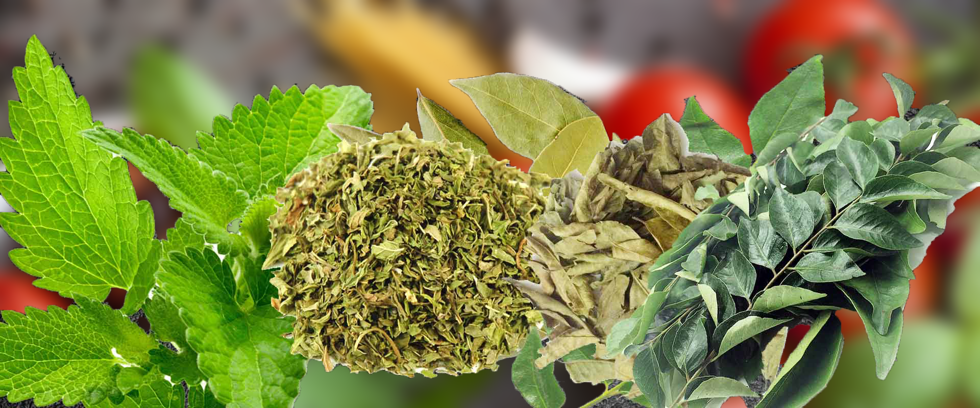 Dehydrated Leaves Powder